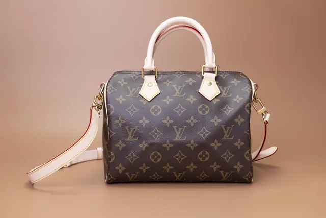Louis Vuitton Speedy — Bolsa de mão