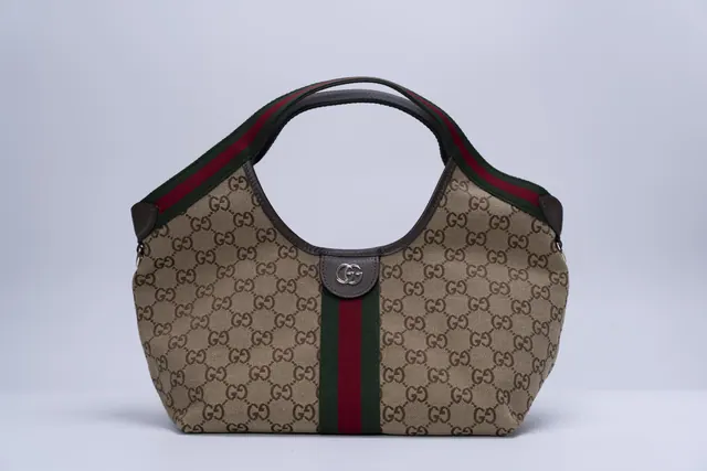 Gucci Ophidia — Sacola